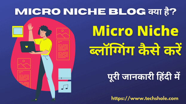 Micro Niche ब्लॉग क्या है - Micro Niche ब्लॉग्गिंग कैसे करें - पूरी जानकारी हिंदी में