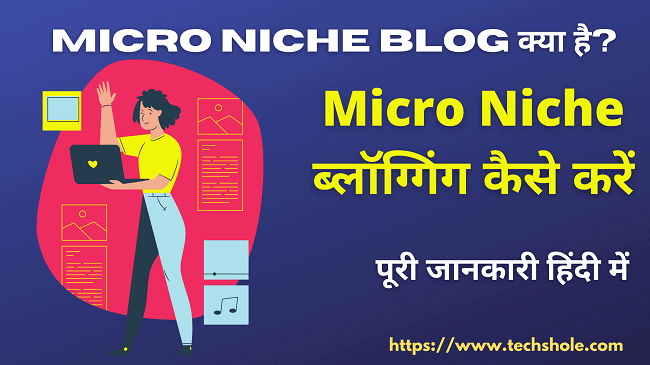 Micro Niche ब्लॉग क्या है - Micro Niche ब्लॉग्गिंग कैसे करें - पूरी जानकारी हिंदी में