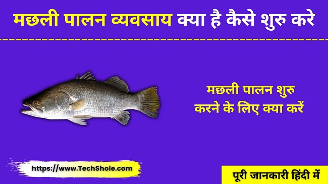 मछली पालन व्यवसाय क्या है कैसे शुरु करे (मछली पालन इन हिंदी) Fish Farming Business In Hindi