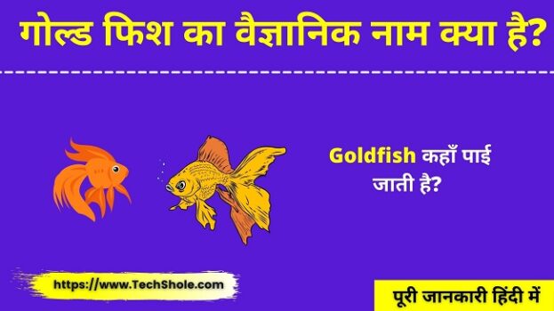 गोल्ड फिश का वैज्ञानिक नाम क्या है Goldfish Ka Scientific Naam Kya Hai In Hindi
